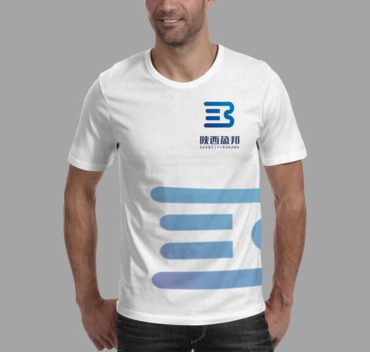 陕西盈邦信息科技logo设计